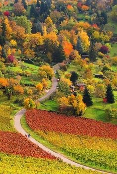 Julia177618091's tweet photo. Happy Friday

Autumn. Germany https://t.co/vDMVKfIfvy