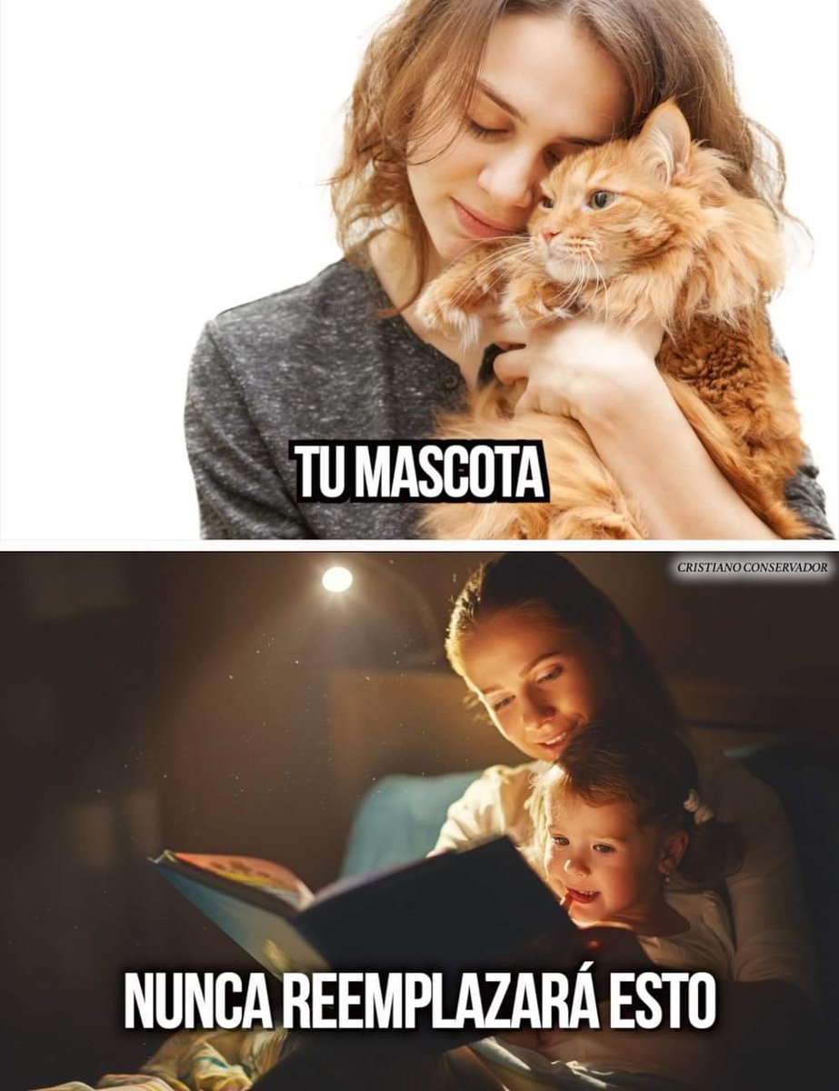 Dale ❤️ | 🔄 Si Estás De Acuerdo 👇🙋🏻

Tus perros no son tus hijos,
Tus gatos no son tus hijas,
Tus mascotas no te endecharán,
Tu animal no es un ser racional,
y jamás reemplazará a una verdadera familia tradicional.
 
Las personas que dicen que tener mascotas es mejor que tener