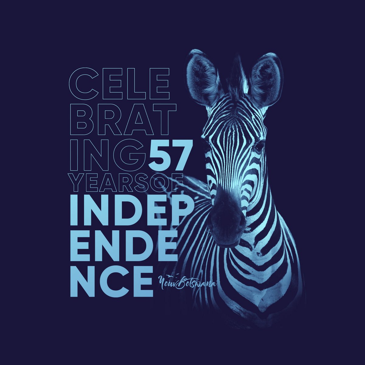 Happy Independence everyone! Have a safe and enjoyable weekend.

#botswana #zebra #independence #celebration