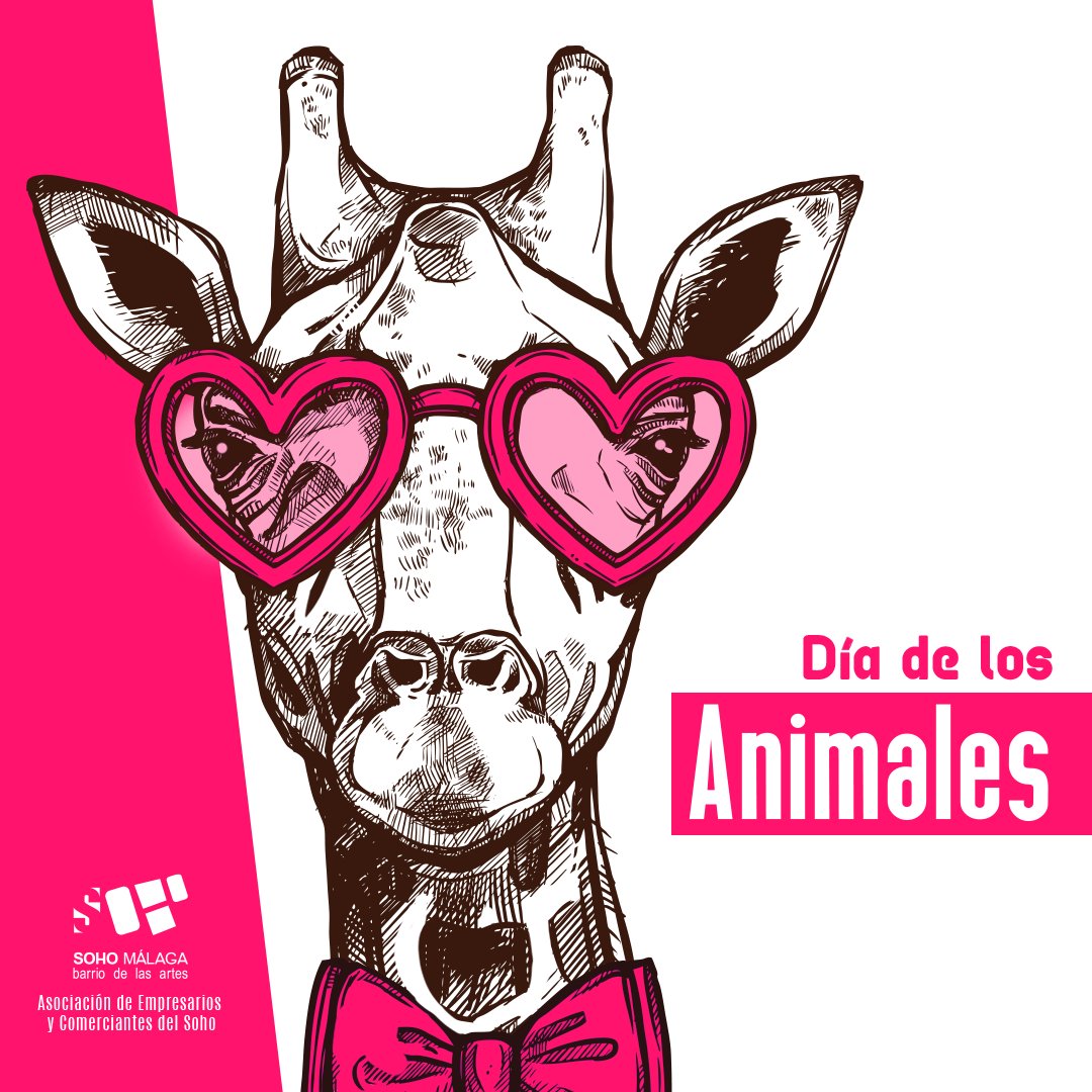 Feliz día mundial de los animales ¡En el Soho los animales también son bienvenidos! Forman parte del barrio y nos dan vida. #SohoBarrioDeLasArtes #Málaga #barrio #DíaDeLosAnimales #Animales