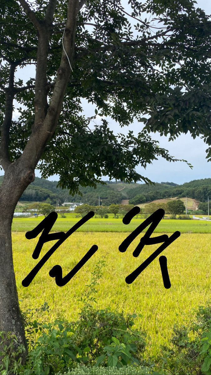 DAVID_ARCHIVE's tweet photo. 20230929
#이다윗 인스타그램 스토리 https://t.co/UFUBkaNUPw
