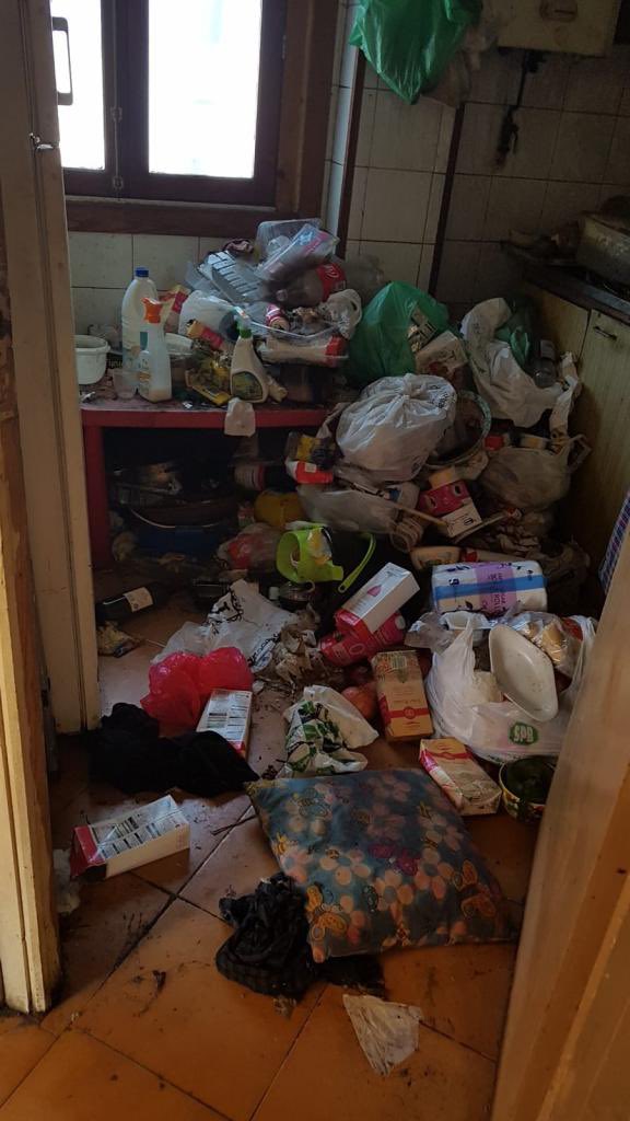 rlsbfacts's tweet image. Balmes 334 starter pack: