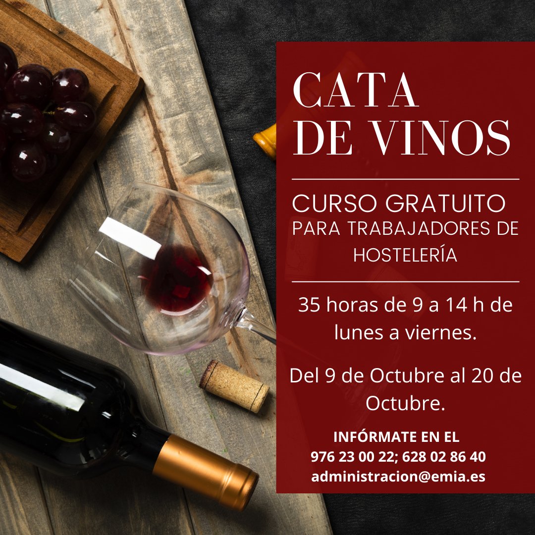 CURSO GRATUITO para TRABAJADORES DE HOSTELERÍA, Comercio y otros sectores.
Del 9 al 20 de Octubre.
De 9:00 a 14:00 h.
De Lunes a Viernes.
INFÓRMATE en el:
976 23 00 22; 628 02 86 40
administracion@emia.es
¡NO PIERDAS LA OPORTUNIDAD DE DESCUBRIR EL FANTÁSTICO MUNDO DE LOS VINOS!