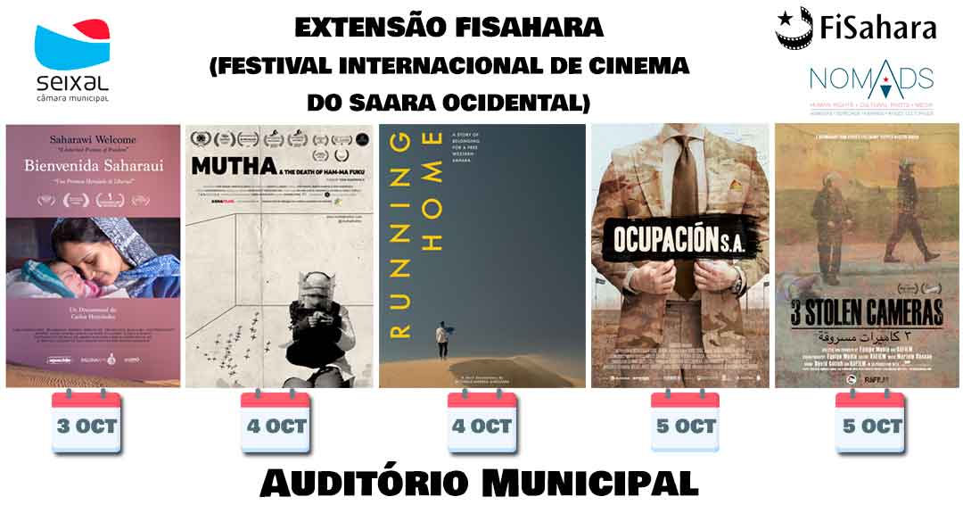 FiSahara tweet media