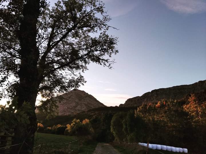 Luliirvalbu's tweet photo. Carrete de Otoño para la morriña.
🍂🌲💛🐺☀️
#Horcadas
#leonesp 🦁🧡 https://t.co/HG92LDQOGG