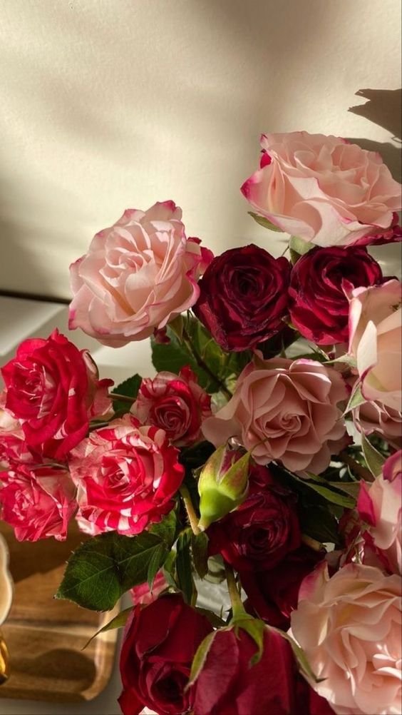 liIacdaisy's tweet photo. flowers and red wine https://t.co/VcLhRD3QFN