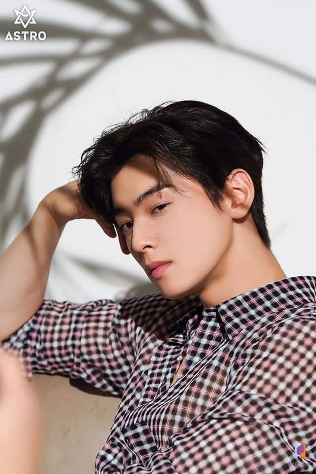 IngridL88396440's tweet photo. @TOP100KPOP I vote #ChaEunwoo from #ASTRO in #TOP100KPOPVISUAL
@TOP100KPOP https://t.co/ApBJGGzuU9