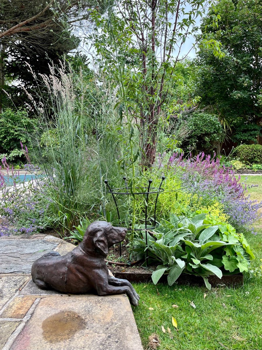 EverEdge tweet media