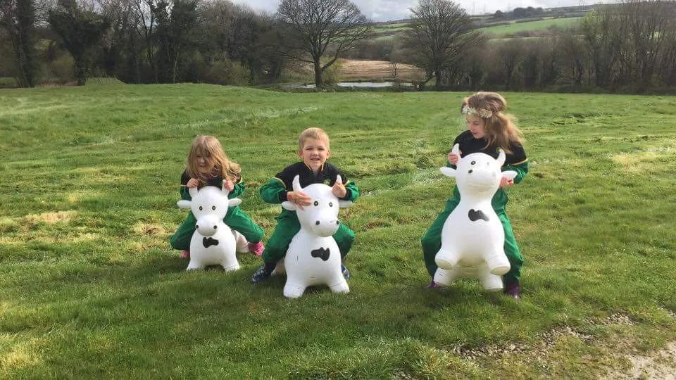 St. Tinney Farm Holidays tweet media