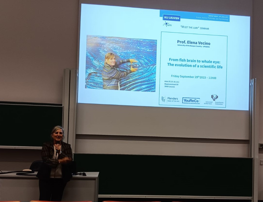 MoonsLab (@labmoons) on Twitter photo Prof. Dr. <a href="/ElenaVecinoC/">Elena Vecino👁🧠🐳</a> showcasing her amazing research on Müller glia and intriguing exposition on whale eyes!
#Biology #whale #eyes #müllerglia #retina Prof. Dr. <a href="/ElenaVecinoC/">Elena Vecino👁🧠🐳</a> showcasing her amazing research on Müller glia and intriguing exposition on whale eyes!
#Biology #whale #eyes #müllerglia #retina