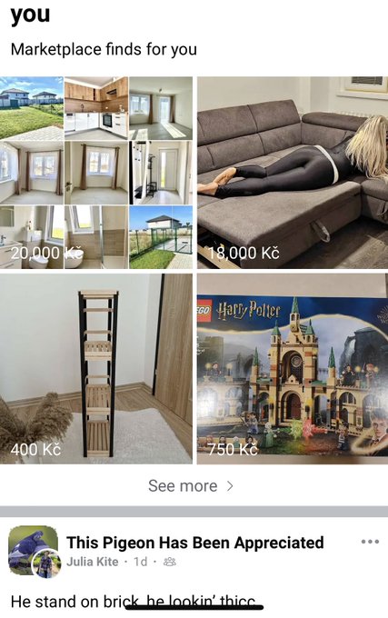 This was a legit ad on Facebook marketplace. 🤣 https://t.co/GU65IMHUsd