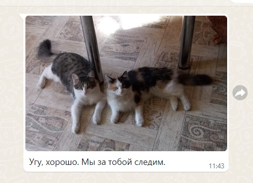 то чувство, когда маман справляется о твоём здоровье