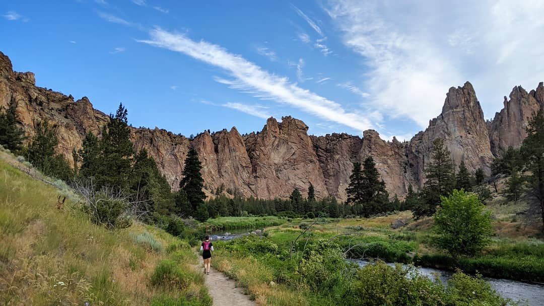 Michael Conlin tweet media