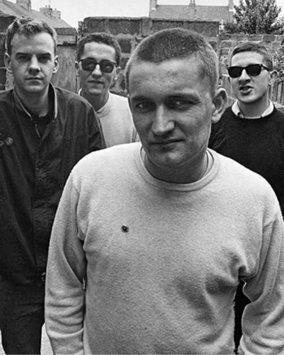 #TheHousemartins by Stephen Parker.