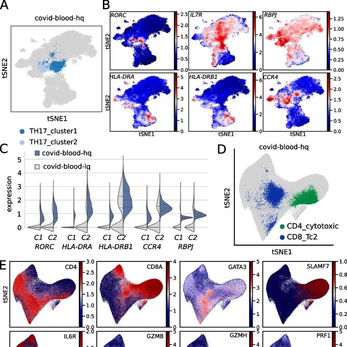 Genome Biology (@genomebiology) on Twitter photo DISCERN, presented by <a href="/stefan_bonn/">Stefan Bonn</a> & co. is a novel deep generative network that precisely reconstructs missing single-cell gene expression using a reference dataset, which can easily be applied to a variety of data sets yielding novel insights
bit.ly/3td1kqG DISCERN, presented by <a href="/stefan_bonn/">Stefan Bonn</a> & co. is a novel deep generative network that precisely reconstructs missing single-cell gene expression using a reference dataset, which can easily be applied to a variety of data sets yielding novel insights
bit.ly/3td1kqG