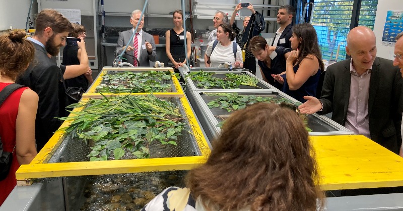 EUScienceInnov's tweet photo. In Vienna 🇦🇹 experts &amp; policy makers from 1️⃣2️⃣ countries are exploring national governance structures for #EUMissions &amp; making #PolicySupportFacility recommendations to implement them. 

Discover more about this #MutualLearningExercise
👉 https://t.co/8glmEE7HRd