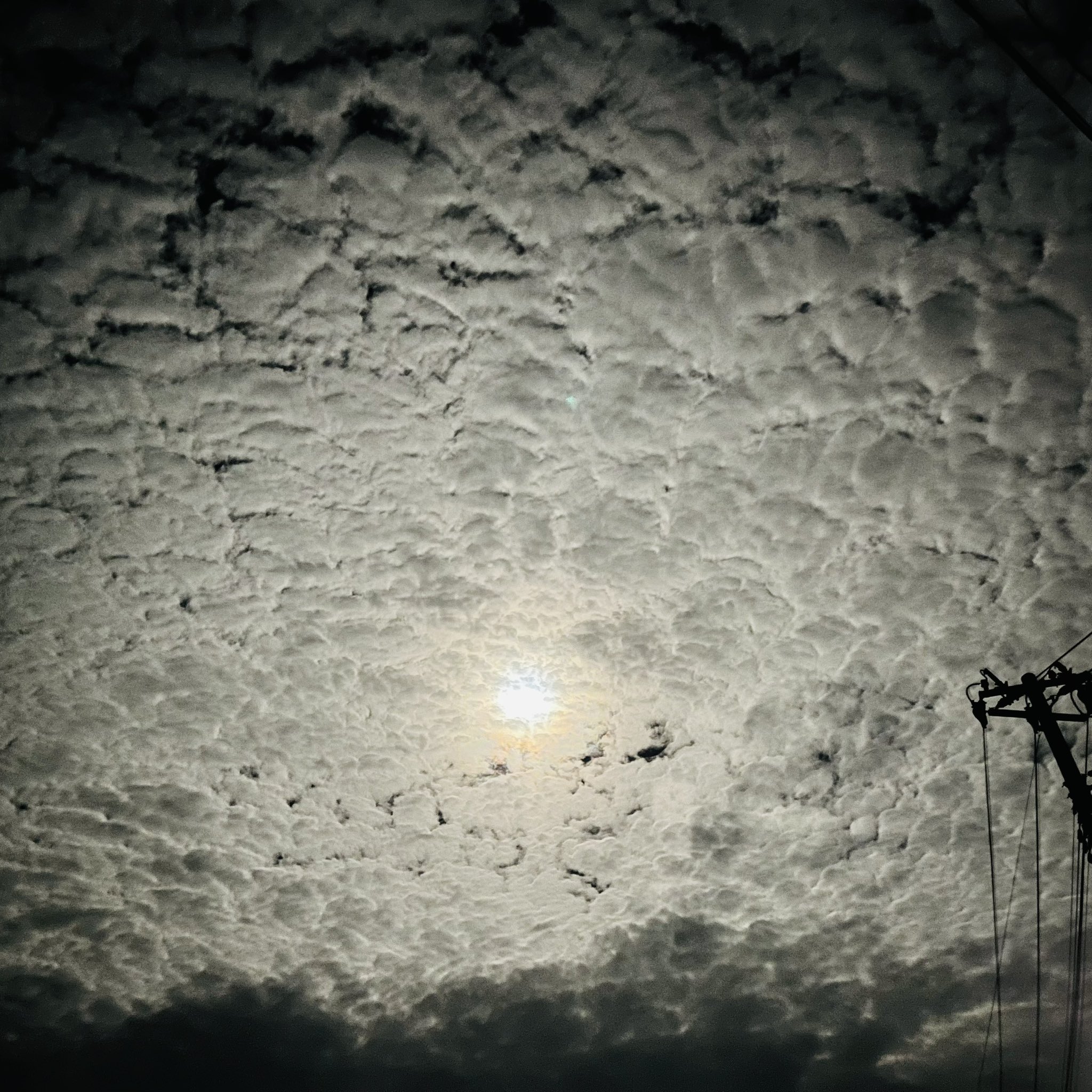 うさぎ付き - Search / X