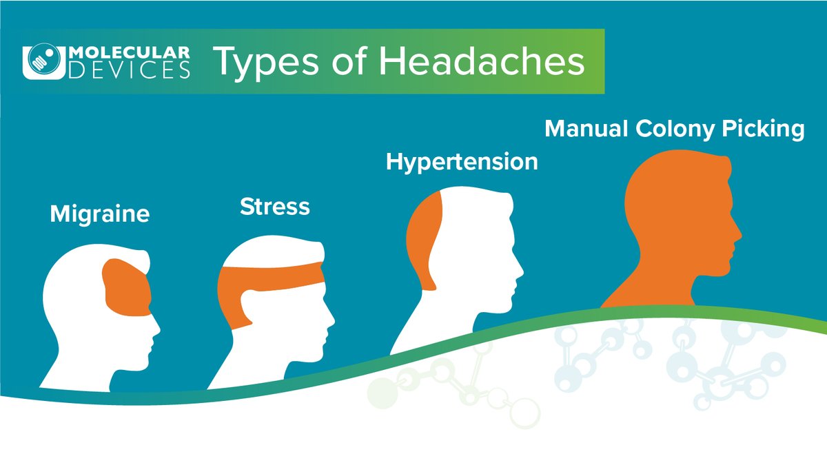 moldev's tweet photo. Skip the headache! There's a better way. Experience precision &amp; efficiency with QPix. 💡 https://t.co/4WZFF9XRvF
 #lablife #microbiology #biotech #labtech #research #technology #scicomm #openscience #labautomation #microbial #colonypicking  #nextgenlab #sciencememe #phdchat https://t.co/0ve2mkwCUl