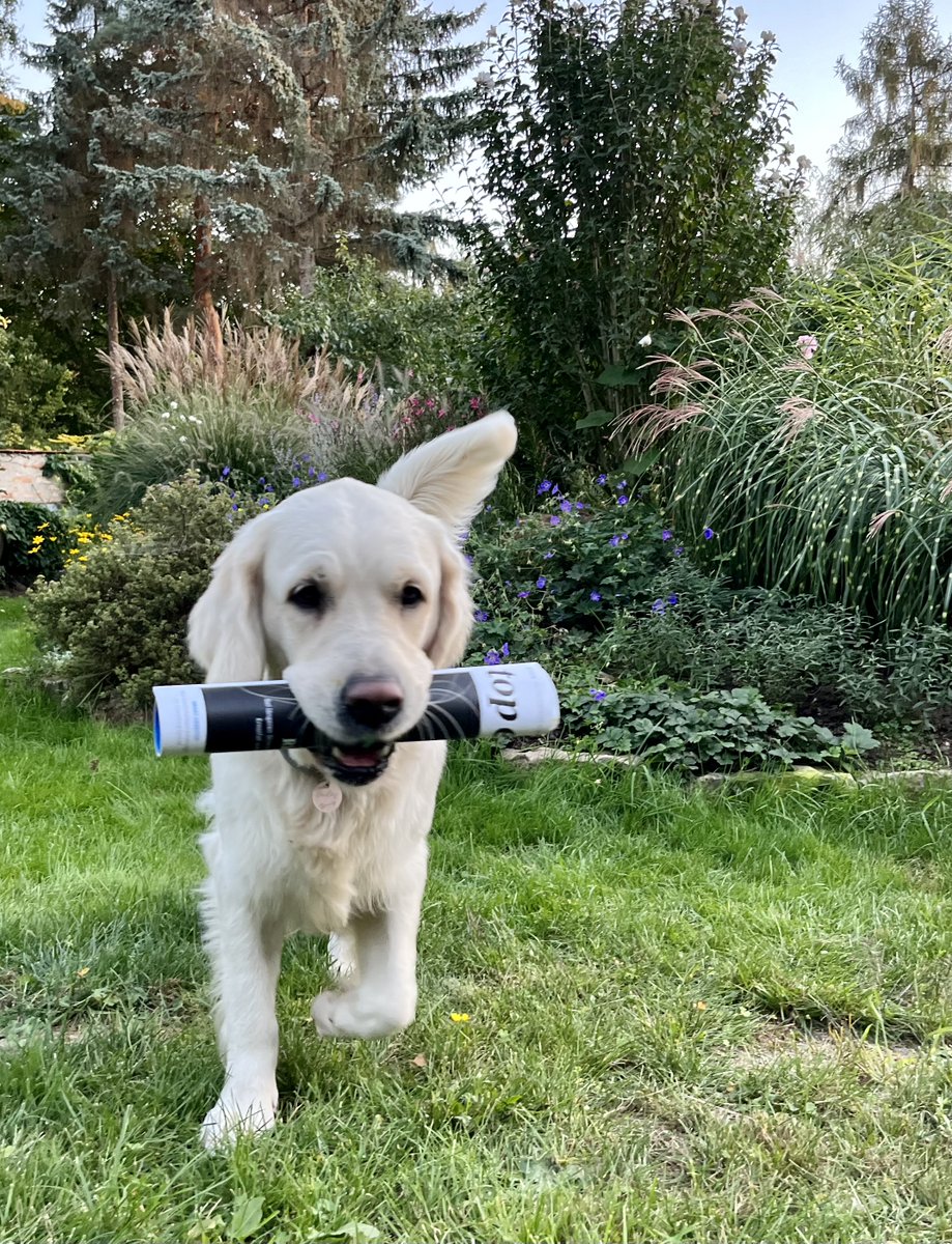 Spannende Wochenendlektüre ist gesichert. Natürlich gibt es die aktuelle Ausgabe des Führungskräftemagazins top eins auch online. 
Downloadlink zur aktuellen Ausgabe auf topeins.dguv.de 👉
topeins.dguv.de/wp-content/upl…

#topeins @dguv #lesetipp