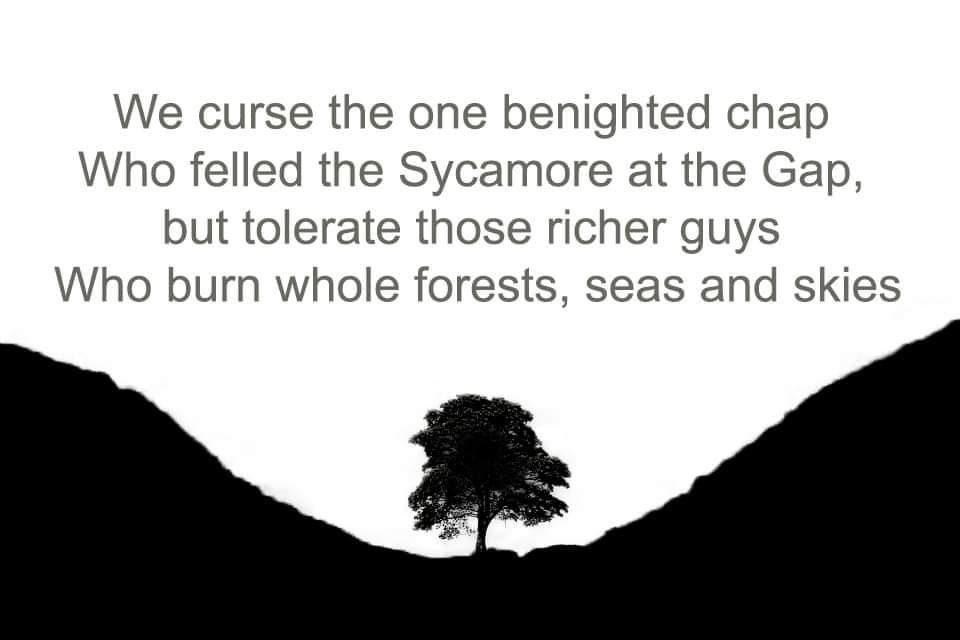 Alix_Walker's tweet photo. @mrjamesob #SycamoreGap #lbc #sycamoregaptree #mrjamesob https://t.co/rebnzYQr4y
