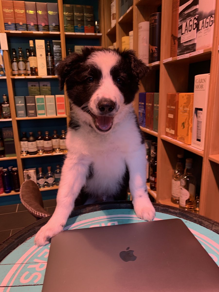 The Whisky Room tweet media