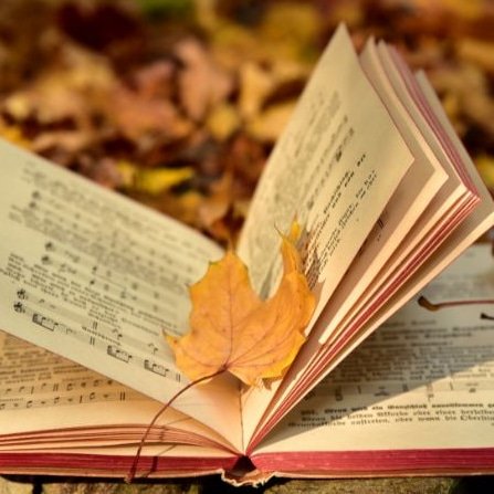 We are back! 🎵🎶 rehearsing for our next major concert comprising Mozart’s Requiem and Eternal Light by Howard Goodall (summer 2024)

New members are welcome at the Little Flower Hall in Bray Tuesdays 7:30-9:30pm

📢 Christmas concert date announced: Saturday 16th December 🎄