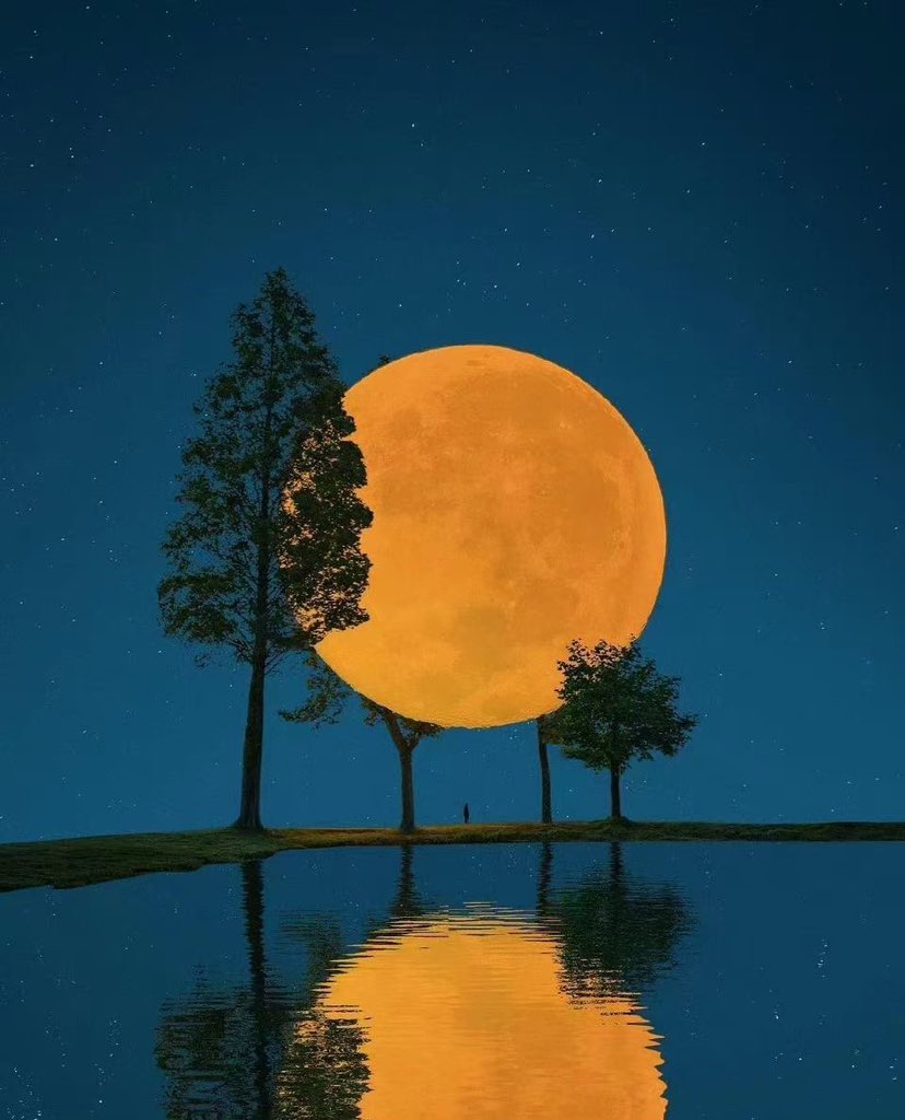 ㊗️大家中秋快乐！