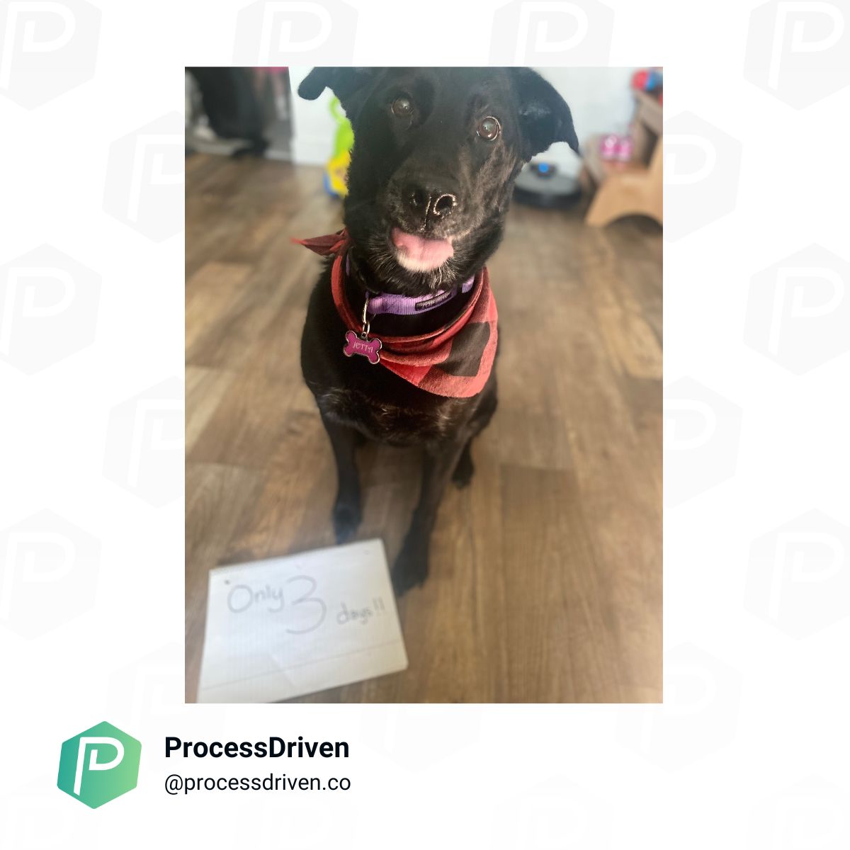 ProcessDriven tweet media