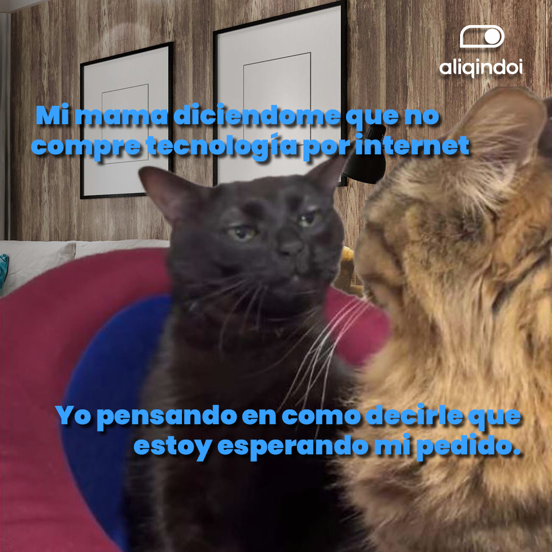 Aliqindoi tweet media