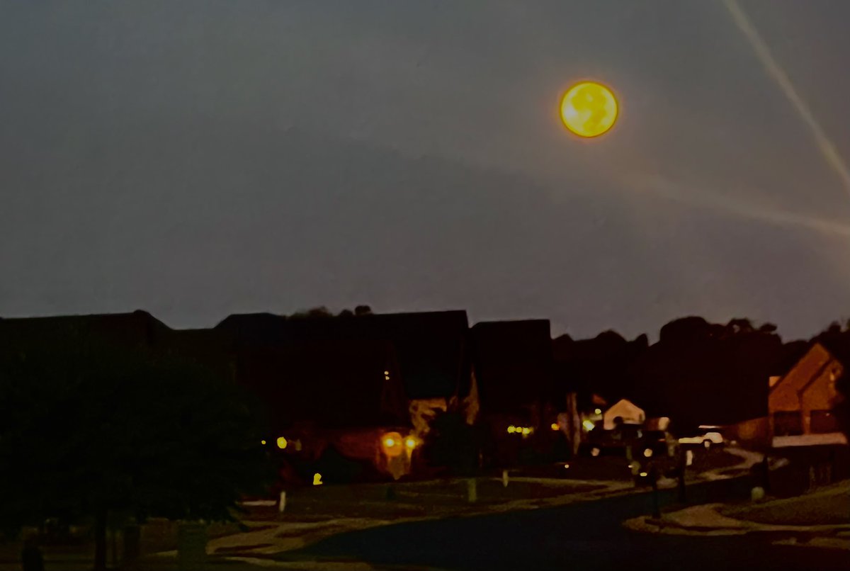 mistyrebeca's tweet image. ✨ Sometimes I wonder if I'm wasting my life away, but then I remember the moon has been inspiring dreamers for centuries.  #MoonGazing #LifeMysteries