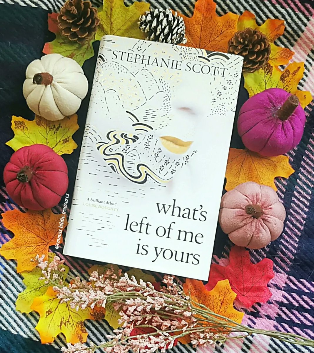 🦋Emma's Biblio Treasures🦋 tweet media