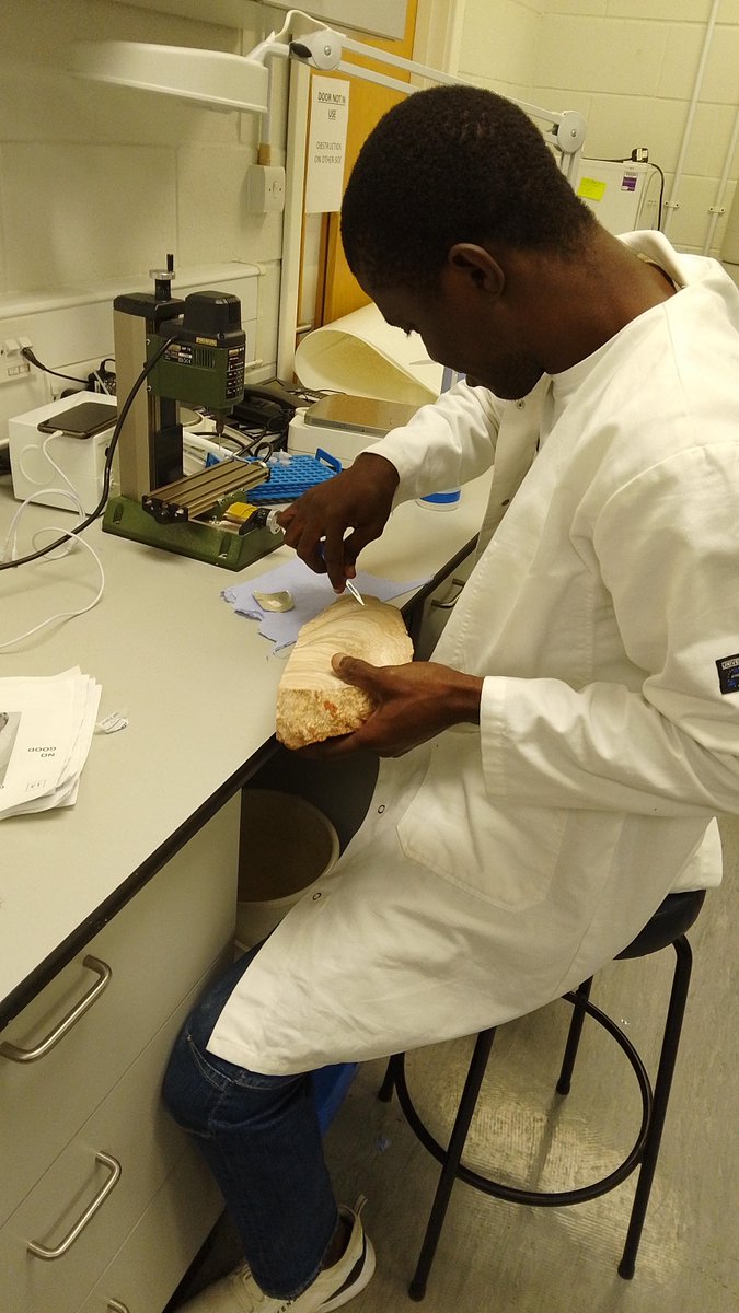 A stalagmite like this one might record thousands of years of past climate. PhD student Fatai is collecting our first subsamples for Uranium Series dating. We can't wait to find out when and how fast this stalagmite grew. @TeesEarthEnv @TeesUniResearch