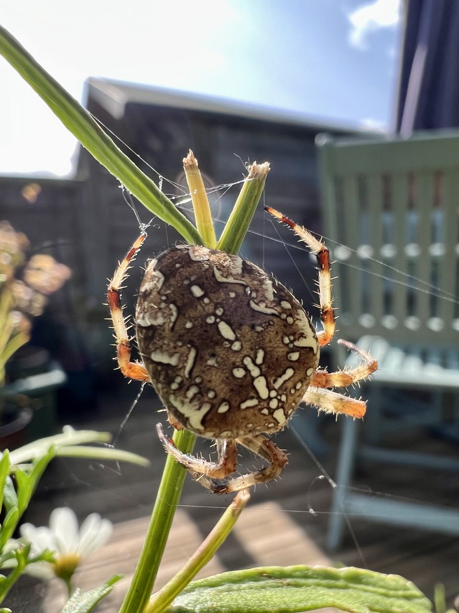 sallydyde's tweet photo. Beautiful nature ❤️ https://t.co/sNHFqhkjEV