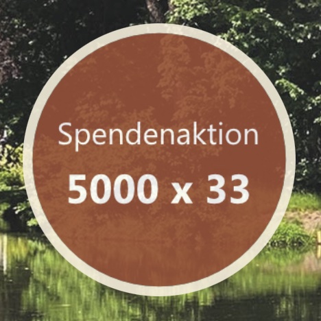 Brandenburgis14's tweet photo. Liebe Freundinnen und Freunde, es sind harte Zeiten für Kunst und Kultur - wir bitten Euch herzlichst, bei unserer Spendenaktion "5000 x 33" mitzumachen - wir sammeln für eine hochwertige 33. Saison der Brandenburgischen Sommerkonzerte. Alle Infos sind auf unserer Webseite https://t.co/KtB8Isj4UZ