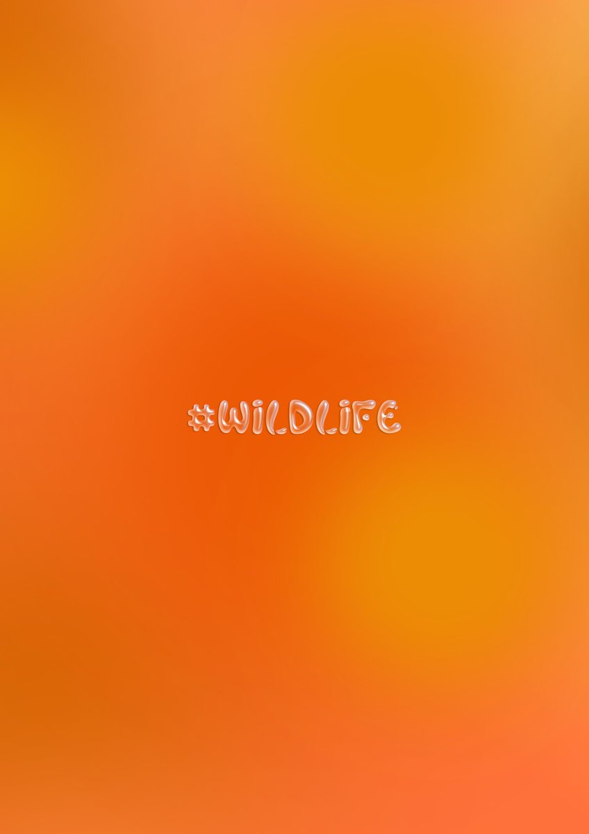 ❇️ OG NFT Preview: #WILDLIFE

🫀 Earth's heartbeat is its wildlife.

Every species is a vital piece of the puzzle.

🦁 Let's remember that by protecting them, we safeguard the health of our planet and secure a harmonious future for all.

➡️ MINT — LINK IN BIO