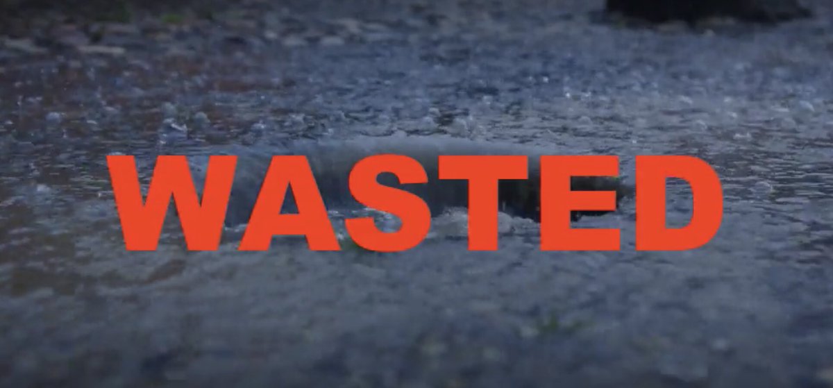 Save the Northern Meadows 🍃💚🍃 tweet media