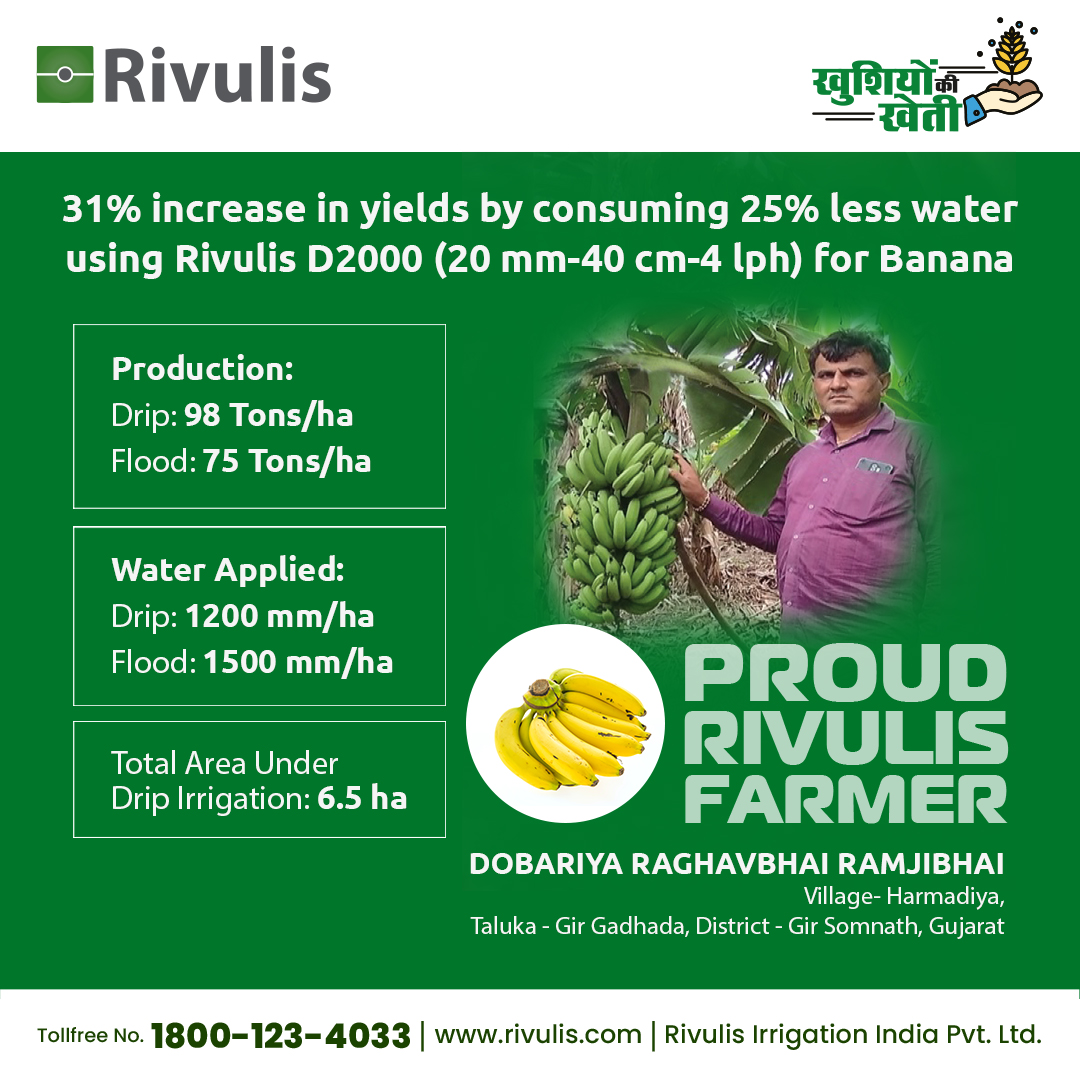 Rivulis_in's tweet photo. Meet Dobariya Raghavbhai Ramjibhai, our proud 💙Rivulis Farmer, who cultivated Banana and achieved a remarkable increase in yield while conserving water💧using our innovative irrigation solution.
#Rivulis #tomato #IncreaseYields #KhushiyonkiKheti #AnandachiSheti #joyoffarming https://t.co/AtDUKs9KES