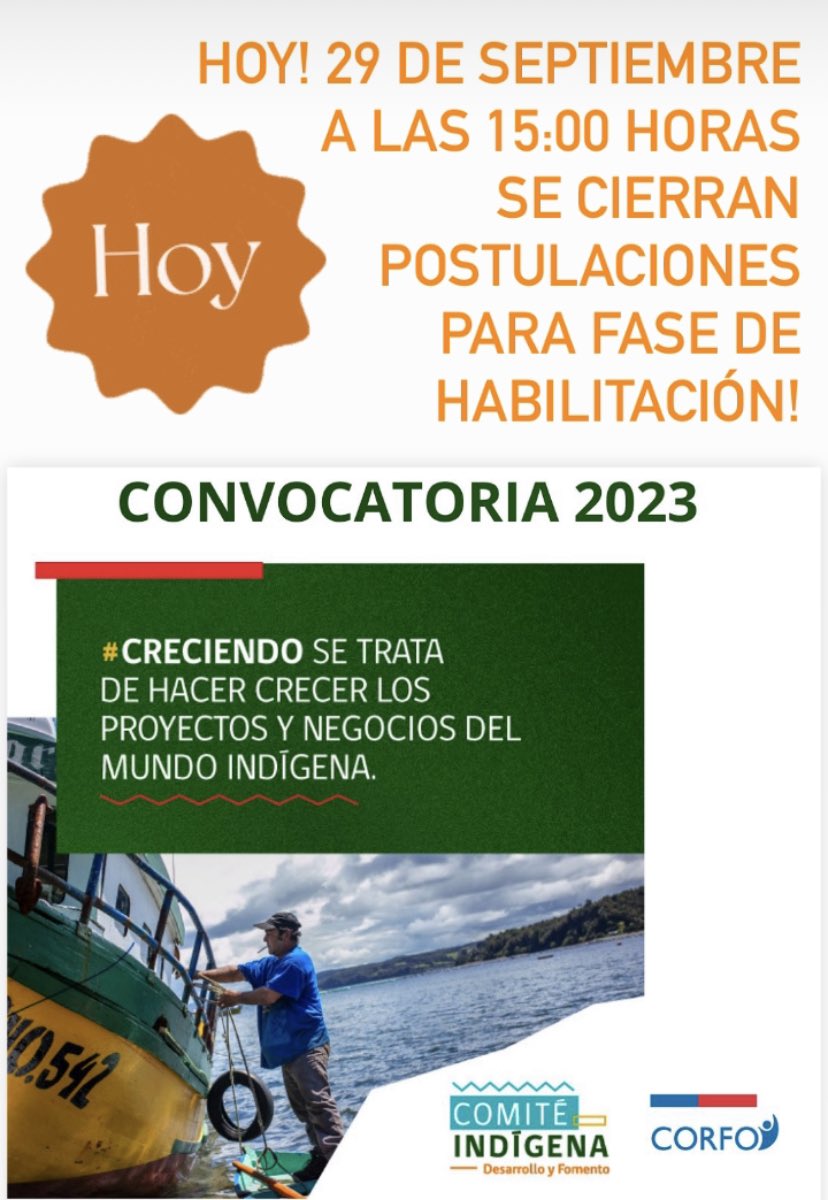 En: comiteindigena.cl