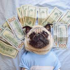 Southpaw_Tech's tweet image. Studio executives! Strike ends😃 &amp;amp; now is the time to protect your profit margins with #TACTICResource. Effectively manage projects and staff within your animation studio. Say goodbye to inefficiencies and hello to improved profitability (just like the Profit Pug). #animation3d