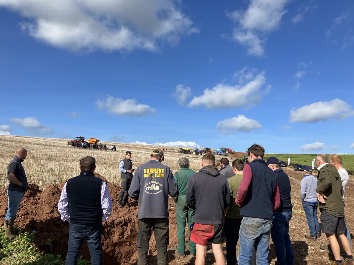 Hutchinsons tweet media