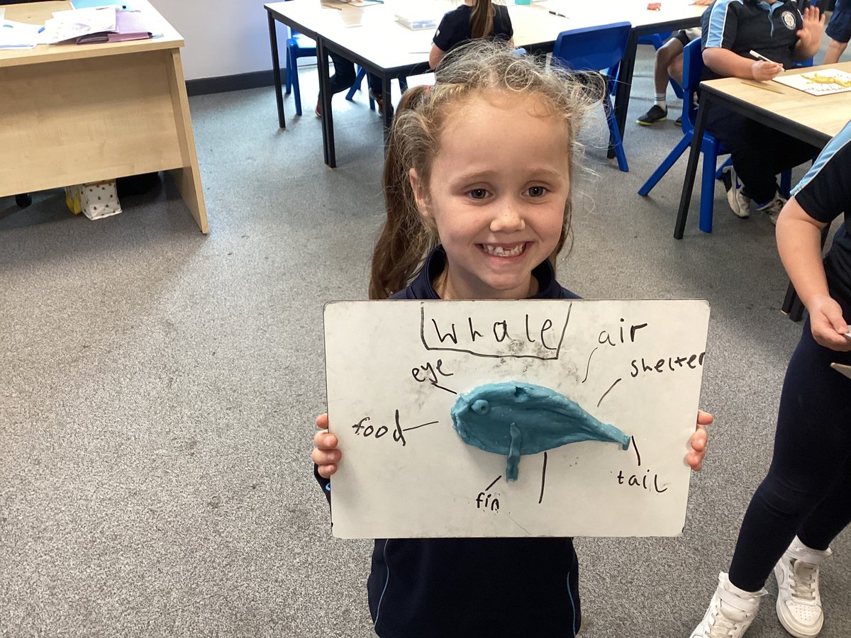 Welcome to our new year 2 twitter account! 🎉🎉🎉Here is a selection of the great work we have been doing the last 3 weeks <a href="/DinningtonFirst/">Dinnington First</a> #success