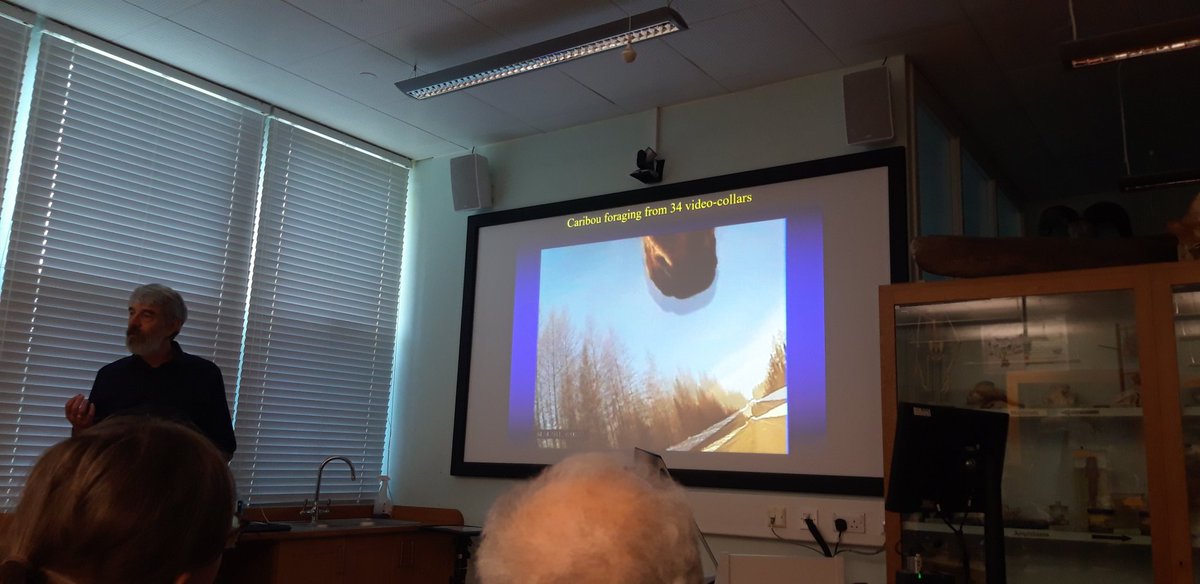 Great talk today at our Biosciences Seminar Series @SwanseaUni by Prof John Fryxell from the University of Guelph on 'Anthropogenic disturbance and population viability of woodland caribou'.