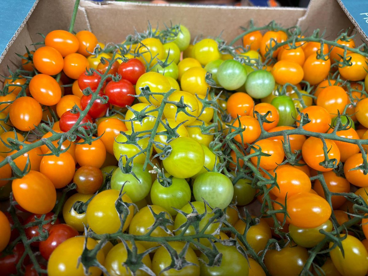 Class One tweet media