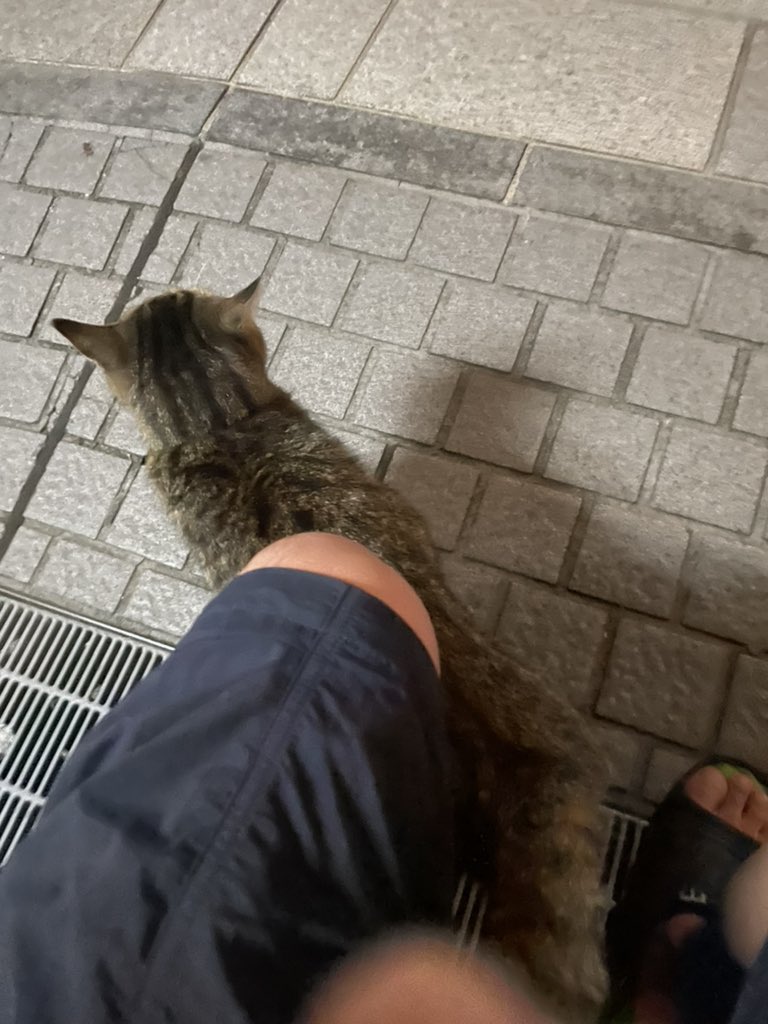 aotohn's tweet photo. 何この子？ https://t.co/E5UulXcBho