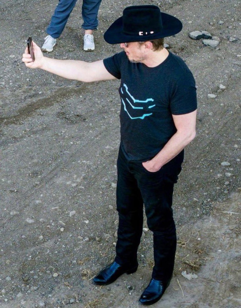 Sir Doge of the Coin ⚔️ tweet media