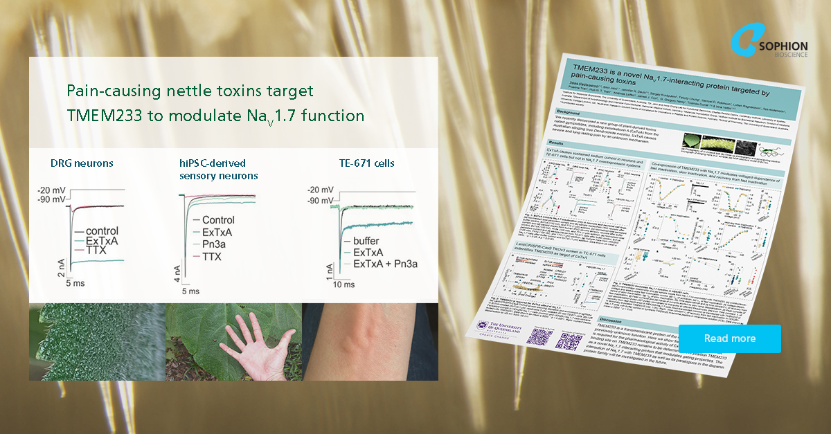 sophionbio's tweet photo. Tabea Klasfauseweh, PhD candidate at @UQ_News working in the @SensoryNeuroph1 Vetter lab, affiliated with @IMBatUQ, recently took part in a discovery that #TMEM233 explains the pain-causing mechanism from #ExTxA.
Read about Tabea's amazing research here: https://t.co/KTUj5ZgKHy https://t.co/dnUDc8M9tJ