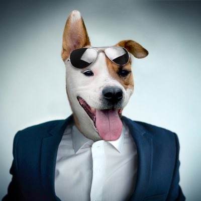 #NewProfilePic — I look puptastic