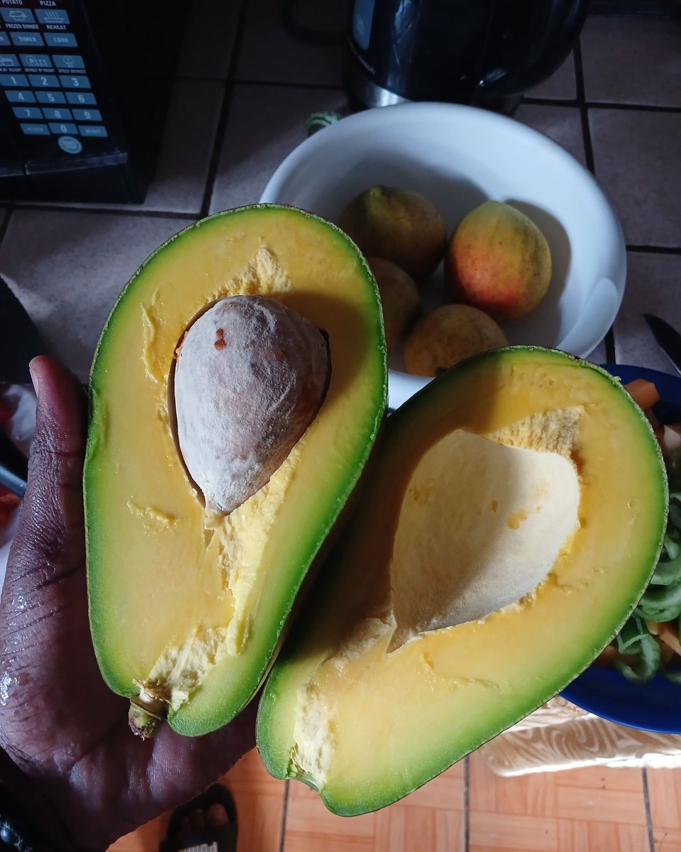 Big Avocado 🥑 #stvincentandthegrenadines #caribbean #nature #naturalfood