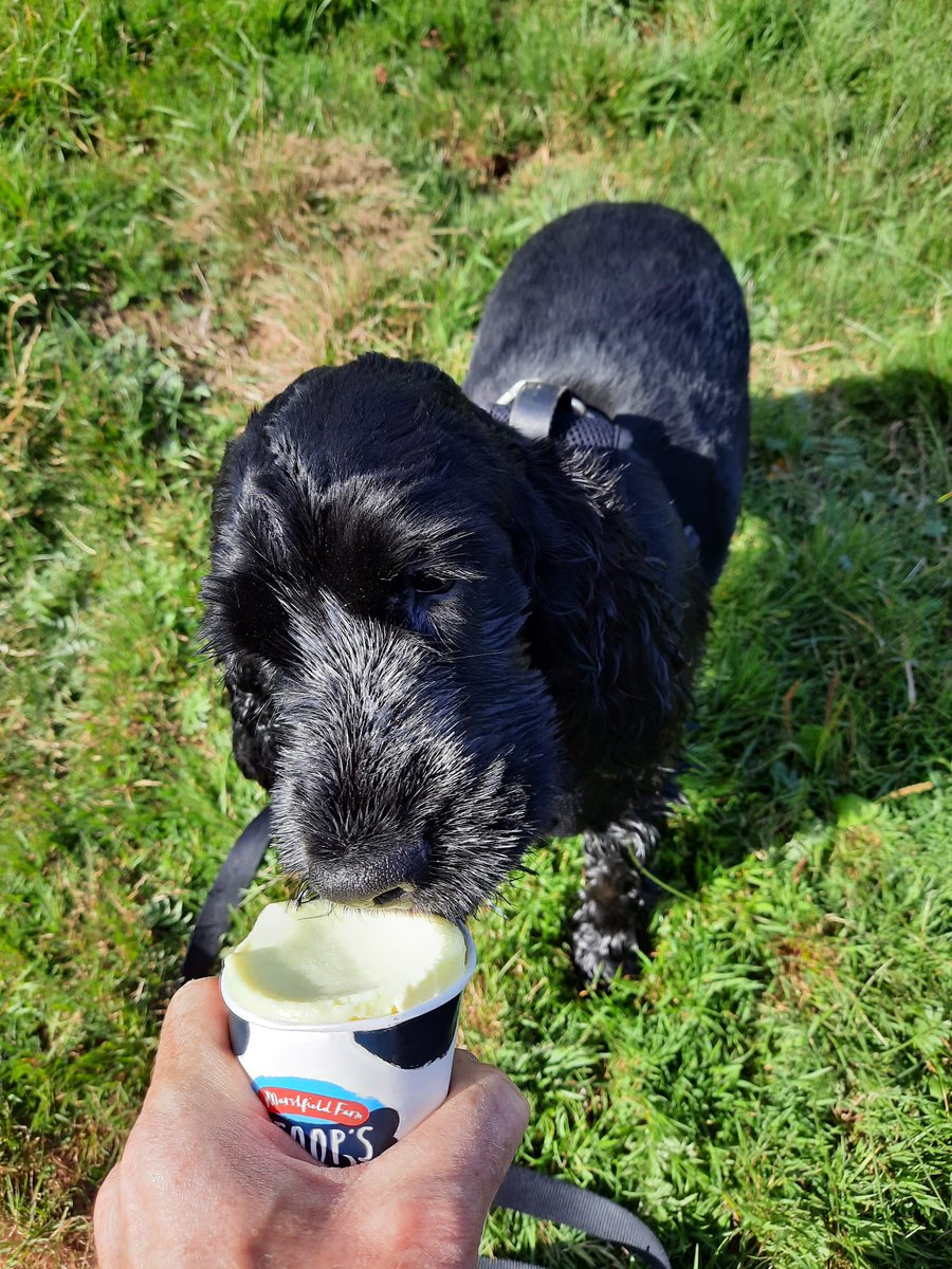 Alison Mully tweet media