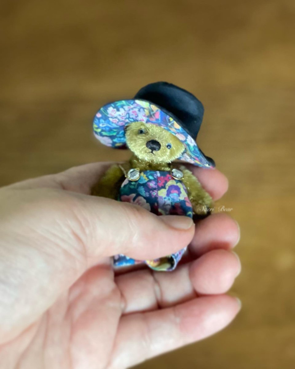 Saeri Bear (@sae_oma) / Posts / X